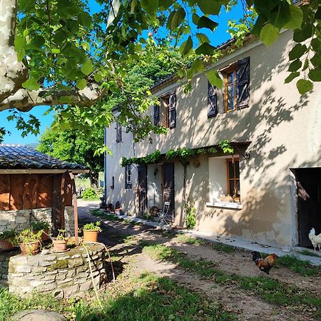 Gite Provence Luberon -Paca- Acces Pmr-Ancv Revest-des-Brousses Exterior photo