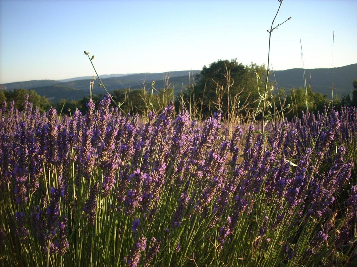 Gite Provence Luberon -Paca- Acces Pmr-Ancv Revest-des-Brousses Exterior photo