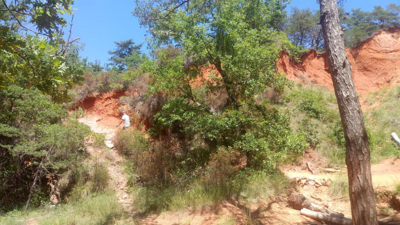 Gite Provence Luberon -Paca- Acces Pmr-Ancv Revest-des-Brousses Exterior photo